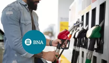 Combustible BNA