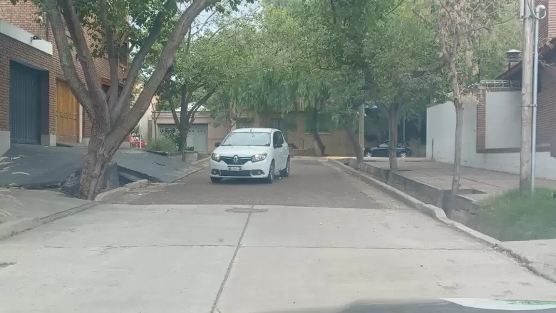 Detenido