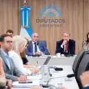 Diputados abre las audiencias por la Ley de Glaciares, con m�s de 100 mil inscriptos
