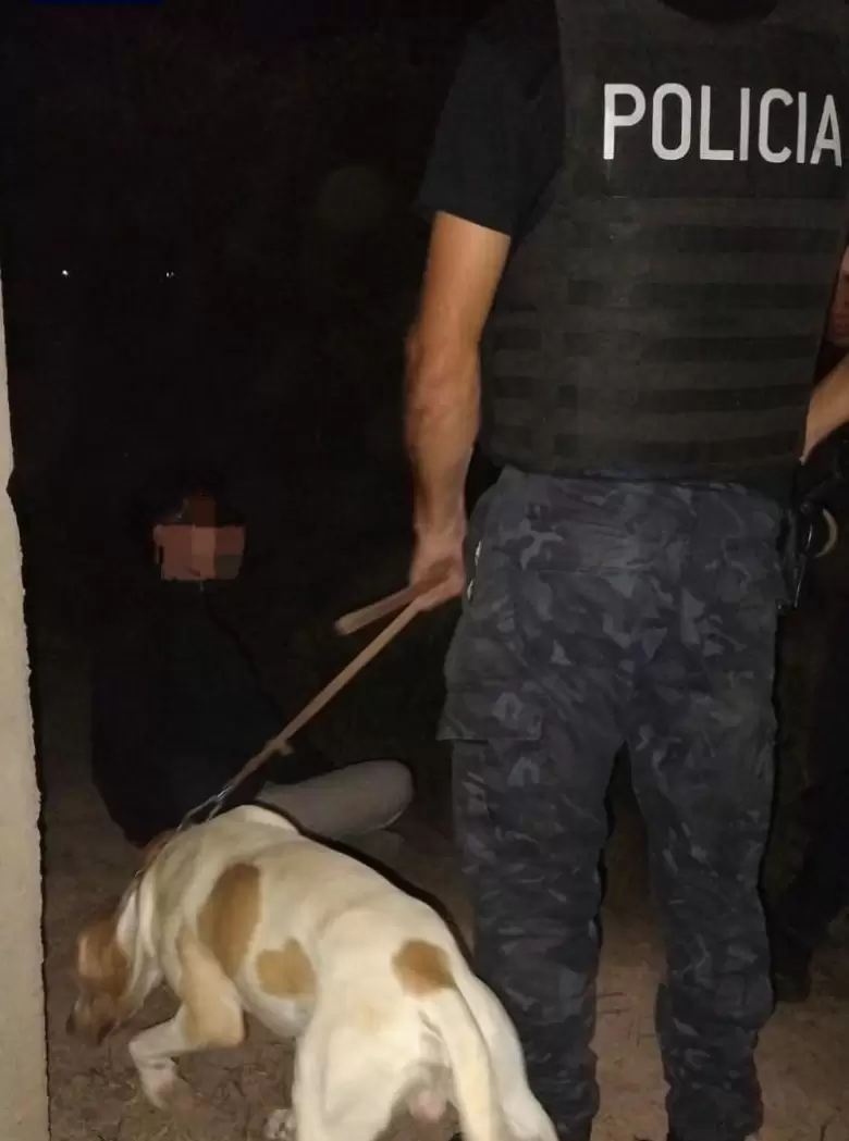 fito perro policia