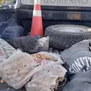Secuestraron m�s de 300 kilos de nueces y aprehendieron a dos personas en Tupungato