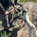 Con ayuda de un perro rastreador, la Policía recuperó elementos robados de una bodega en Junín