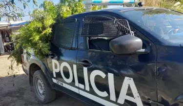 marihuana