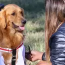 El m�vil veterinario contin�a recorriendo los distritos de Maip�