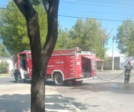 incendio Tupungato