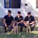 El �ltimo servicio de tres perros que hicieron historia en la Polic�a de Mendoza