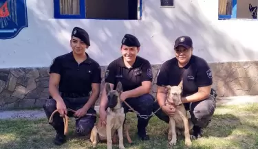 perro polic�a