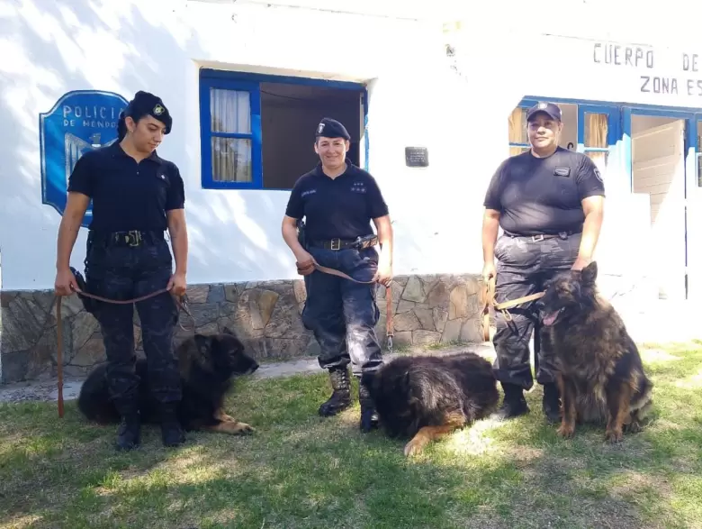 perro policia