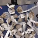 De da�os a comercios a veh�culos robados: el saldo de los �ltimos operativos en el Gran Mendoza