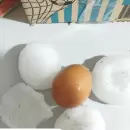 (Video) Una enorme granizada azot� a San Rafael: importantes da�os en cultivos y zonas urbanas