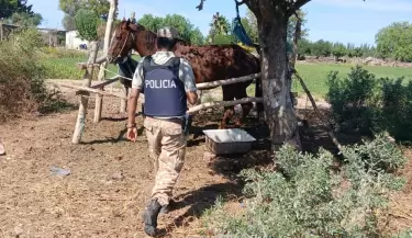 policia rural