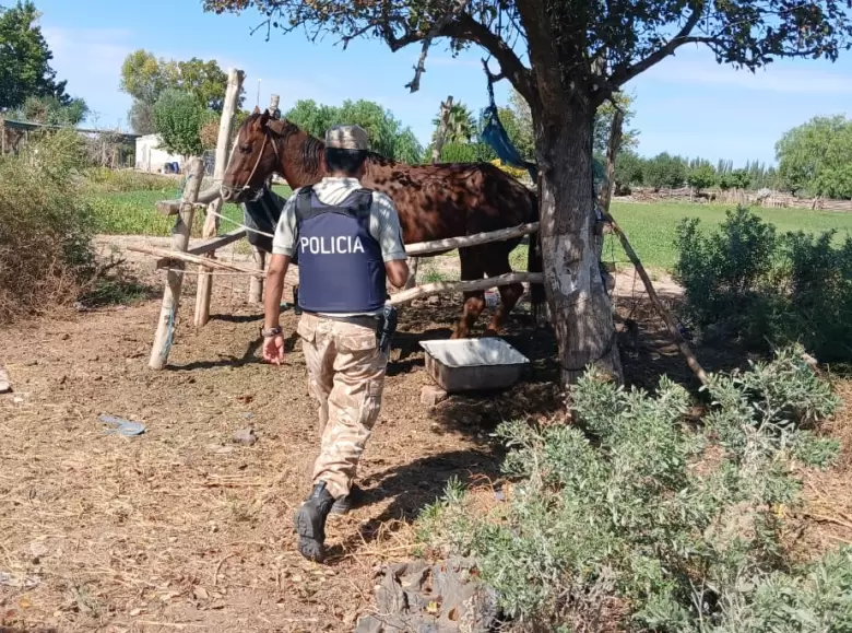 policia rural