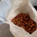 Golpe a robos rurales en Tupungato: recuperaron m�s de 800 kilos de nueces en tres fincas