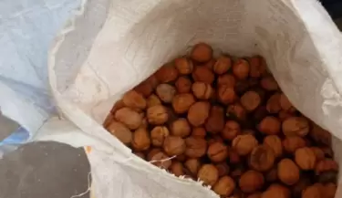 nueces