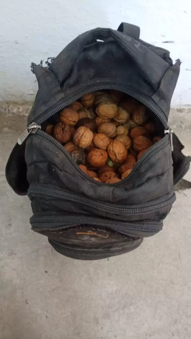 nueces
