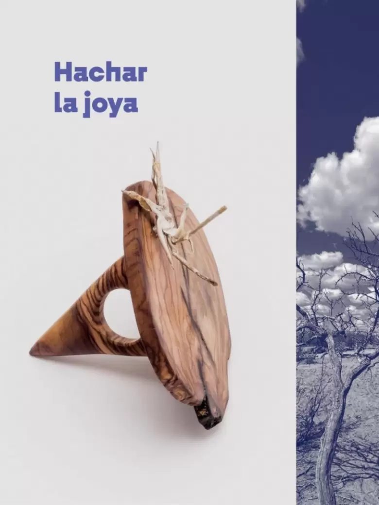 hachar-la-joya