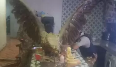 abigeato