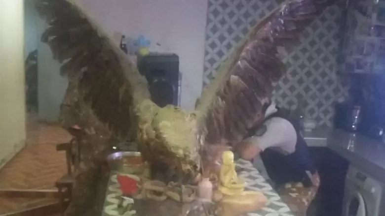 abigeato