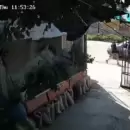 (Video) Le robaron la camioneta a un jubilado en Las Heras y lo arrastraron varios metros en la huida