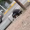 Los detuvieron tras ser sorprendidos robando cables y cartelería en Godoy Cruz y Guaymallén
