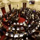 El Senado debate la venta de tierras rurales a extranjeros, pagos a acreedores y designaciones judiciales