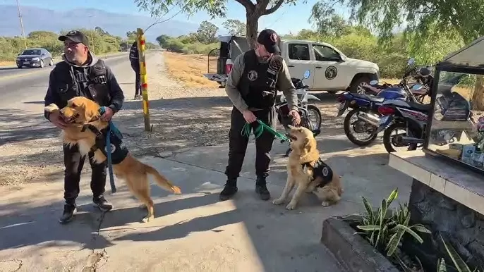 Operativo en Catamarca