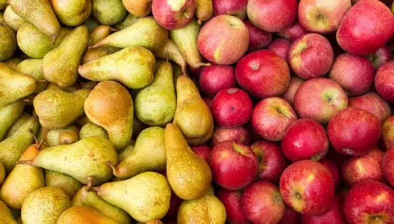 Peras y manzanas