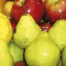 Crisis en el Valle de Uco: la producci�n de peras y manzanas qued� al borde de desaparecer