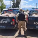 Allanaron comercios en el Sur provincial y hallaron carne en mal estado: m�s de 58 kilos decomisados