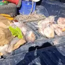 Más de 30 kilos de carne en mal estado fueron secuestrados en un comercio de General Alvear