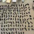 Hallaron y secuestraron coca�na, dinero y una balanza de precisi�n en Maip� y Luj�n de Cuyo