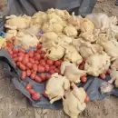Decomisaron en Guaymall�n casi 150 kilos de pollo no apto para el consumo humano