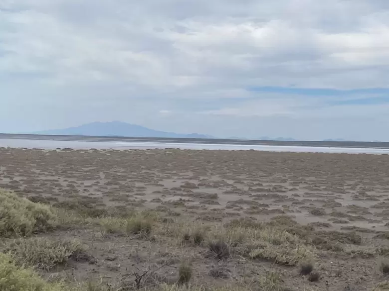 Salinas