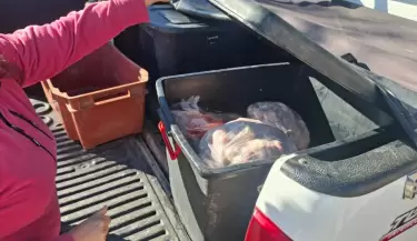 Carne