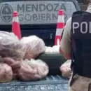 Hallaron pollo en condiciones Insalubres y tenencia ilegal de fauna silvestre en un comercio de Alvear