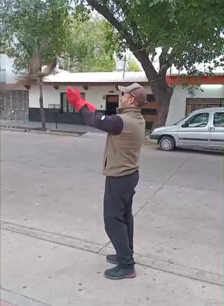 Gavilán