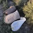 Recuperaron 200 kilos de nueces robadas en Tupungato: cinco detenidos