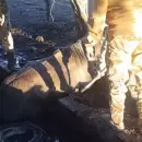 Heroico rescate de una yegua que cay� a una pileta en San Rafael