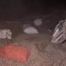 Cayeron tres sujetos en una finca de San Mart�n, con 12 bolsas de nueces robadas