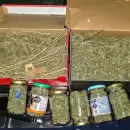 Más controles policiales en el Gran Mendoza: casi un kilo de cannabis, cocaína y 11 detenidos
