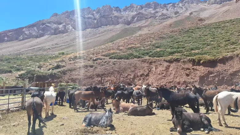 Aconcagua