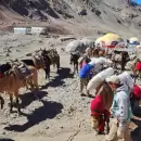 El Aconcagua cerr� la temporada con resultados positivos, en bienestar animal y controles reforzados