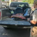 Secuestraron 40 kilos de carne vacuna ilegal durante un control en San Martín