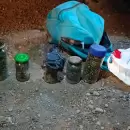 Un perro detectó marihuana en un colectivo durante un control en San Rafael