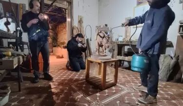 Maravillosas criaturas