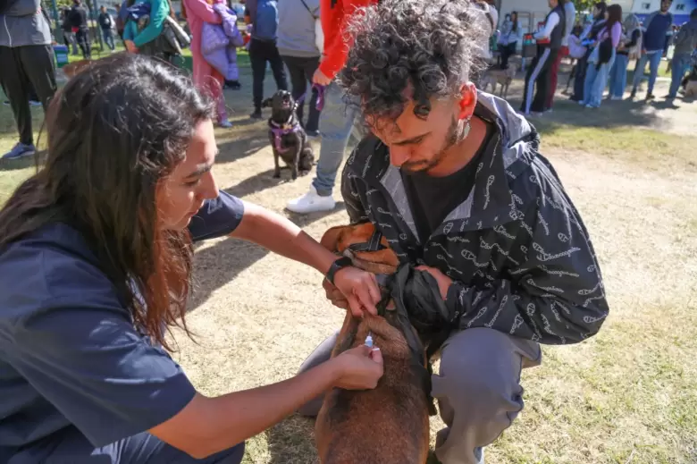 móvil veterinario guaymallen