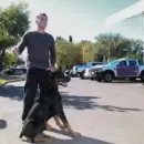 Guaymall�n inaugur� un m�vil veterinario con tecnolog�a de �ltima generaci�n