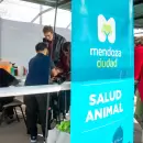 Servicios veterinarios gratuitos: Capital desplegar� un operativo integral durante mayo