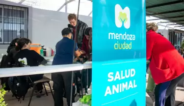 veterinario