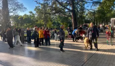 mascotas animales las heras veterinario